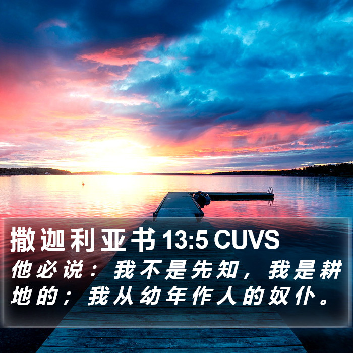 撒 迦 利 亚 书 13:5 CUVS Bible Study