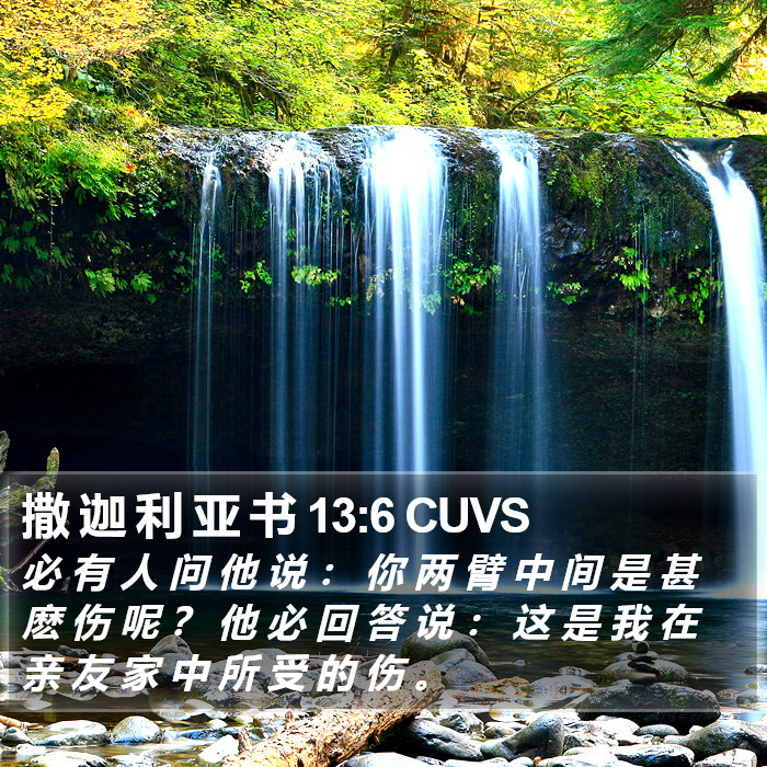 撒 迦 利 亚 书 13:6 CUVS Bible Study