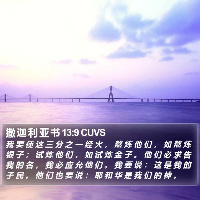 撒 迦 利 亚 书 13:9 CUVS Bible Study