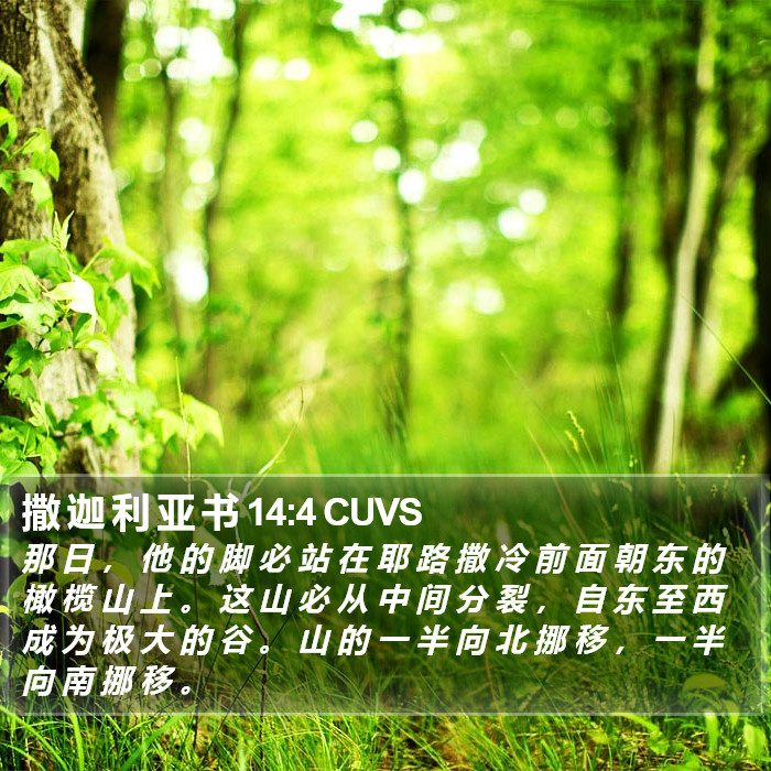 撒 迦 利 亚 书 14:4 CUVS Bible Study