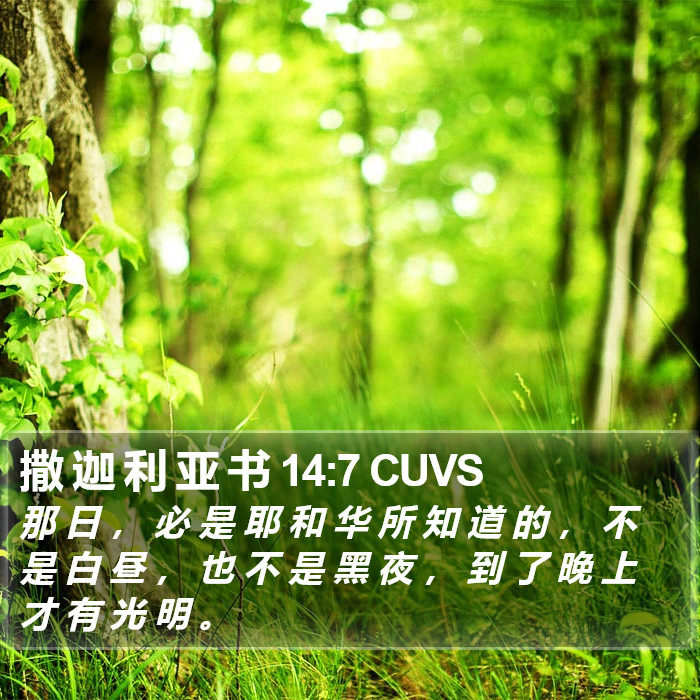 撒 迦 利 亚 书 14:7 CUVS Bible Study