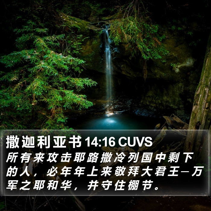 撒 迦 利 亚 书 14:16 CUVS Bible Study