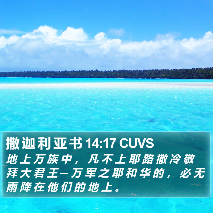 撒 迦 利 亚 书 14:17 CUVS Bible Study