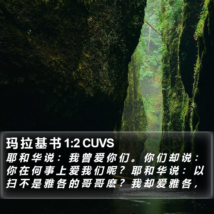 玛 拉 基 书 1:2 CUVS Bible Study