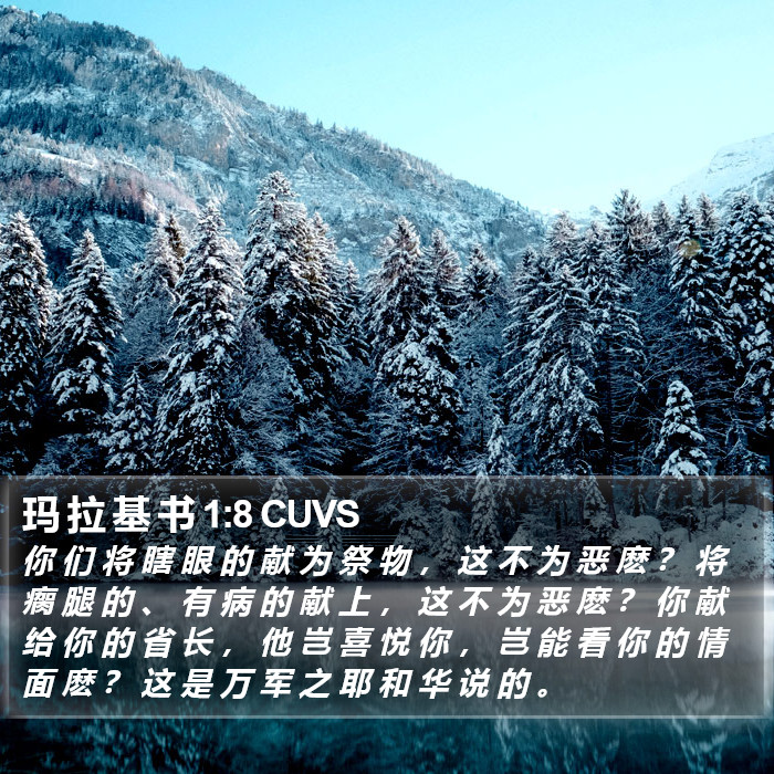 玛 拉 基 书 1:8 CUVS Bible Study