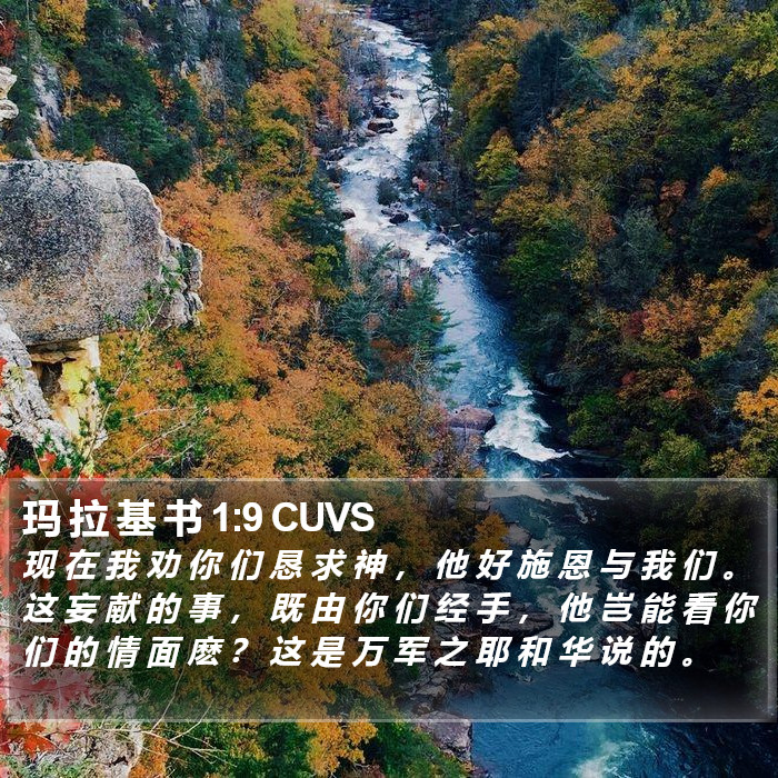 玛 拉 基 书 1:9 CUVS Bible Study