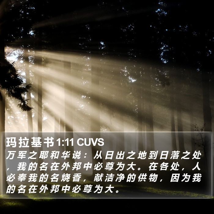 玛 拉 基 书 1:11 CUVS Bible Study