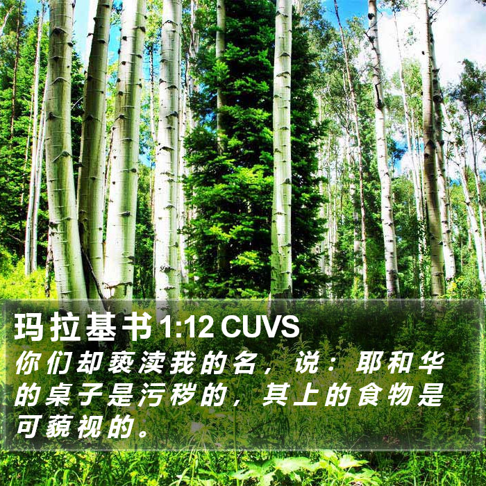 玛 拉 基 书 1:12 CUVS Bible Study