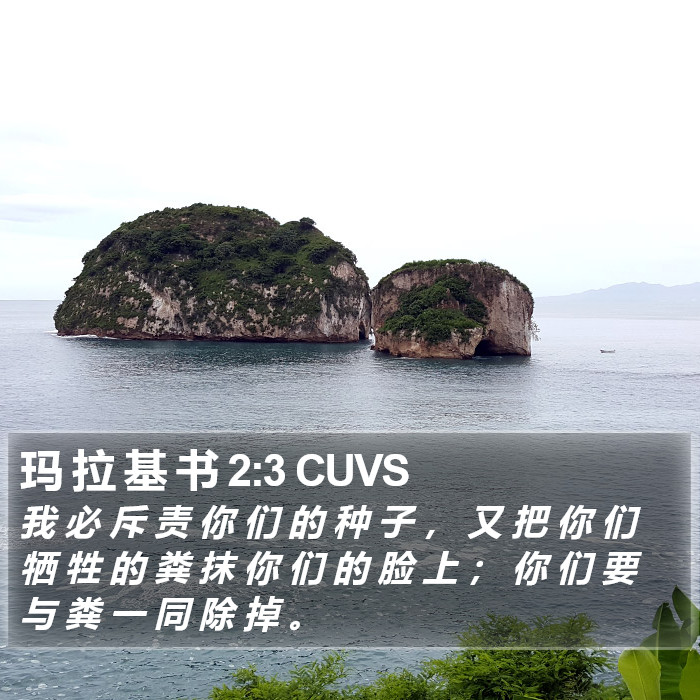 玛 拉 基 书 2:3 CUVS Bible Study