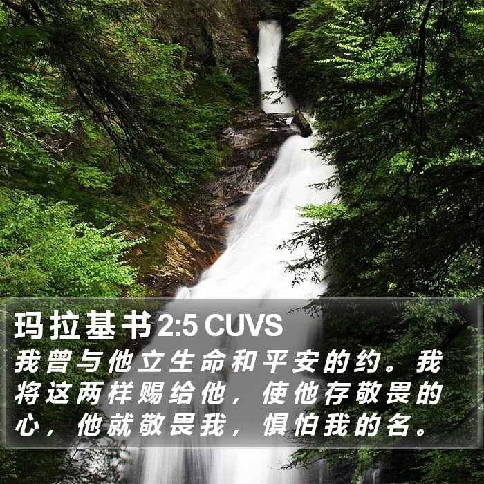 玛 拉 基 书 2:5 CUVS Bible Study