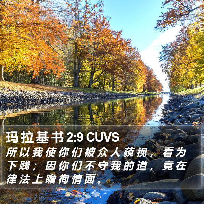 玛 拉 基 书 2:9 CUVS Bible Study
