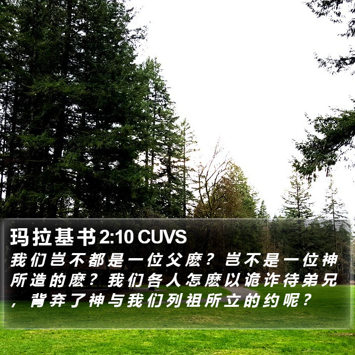 玛 拉 基 书 2:10 CUVS Bible Study