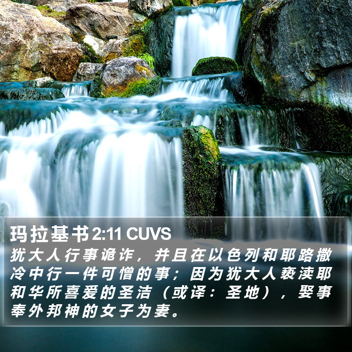 玛 拉 基 书 2:11 CUVS Bible Study