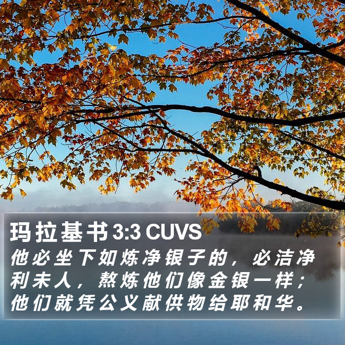 玛 拉 基 书 3:3 CUVS Bible Study