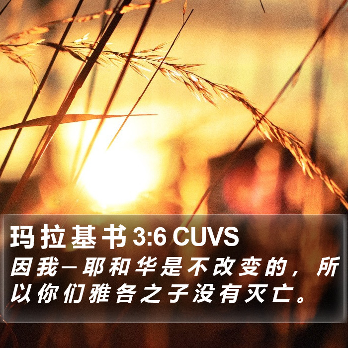 玛 拉 基 书 3:6 CUVS Bible Study