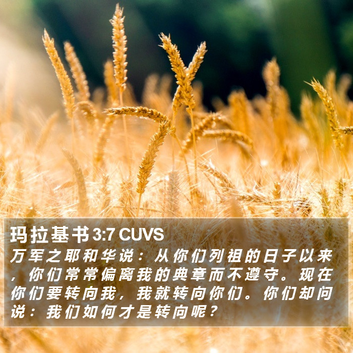 玛 拉 基 书 3:7 CUVS Bible Study