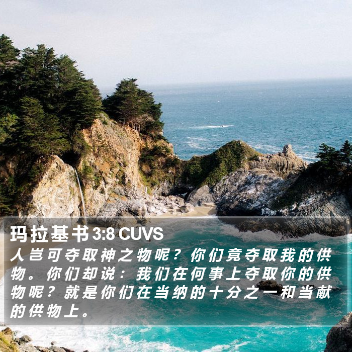 玛 拉 基 书 3:8 CUVS Bible Study