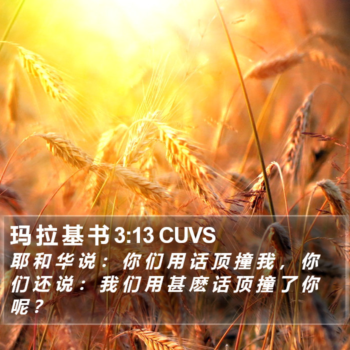 玛 拉 基 书 3:13 CUVS Bible Study