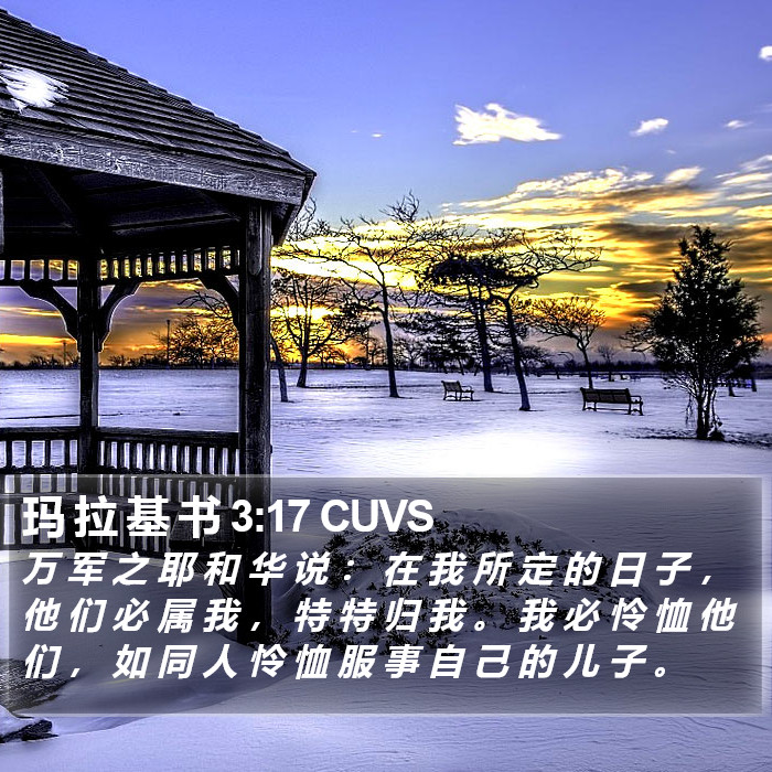 玛 拉 基 书 3:17 CUVS Bible Study