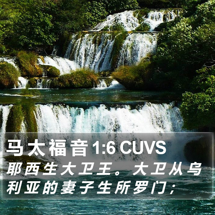 马 太 福 音 1:6 CUVS Bible Study