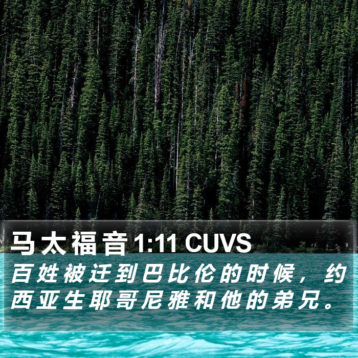 马 太 福 音 1:11 CUVS Bible Study