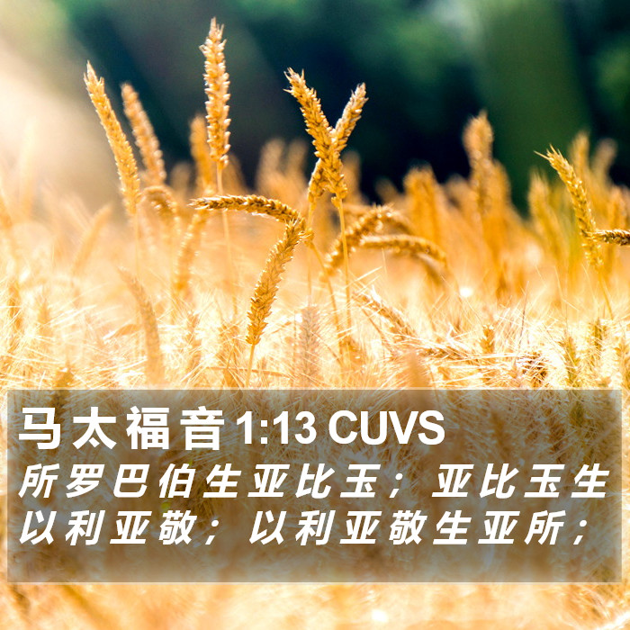 马 太 福 音 1:13 CUVS Bible Study