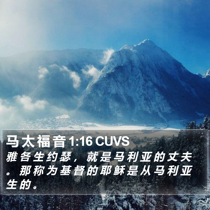 马 太 福 音 1:16 CUVS Bible Study