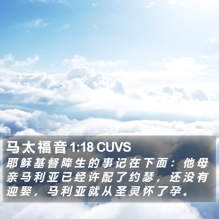 马 太 福 音 1:18 CUVS Bible Study