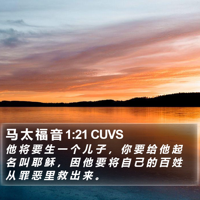 马 太 福 音 1:21 CUVS Bible Study