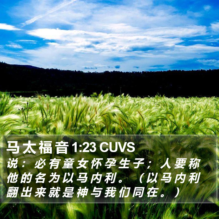 马 太 福 音 1:23 CUVS Bible Study