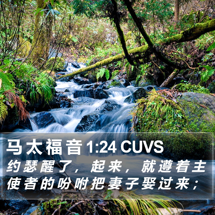 马 太 福 音 1:24 CUVS Bible Study