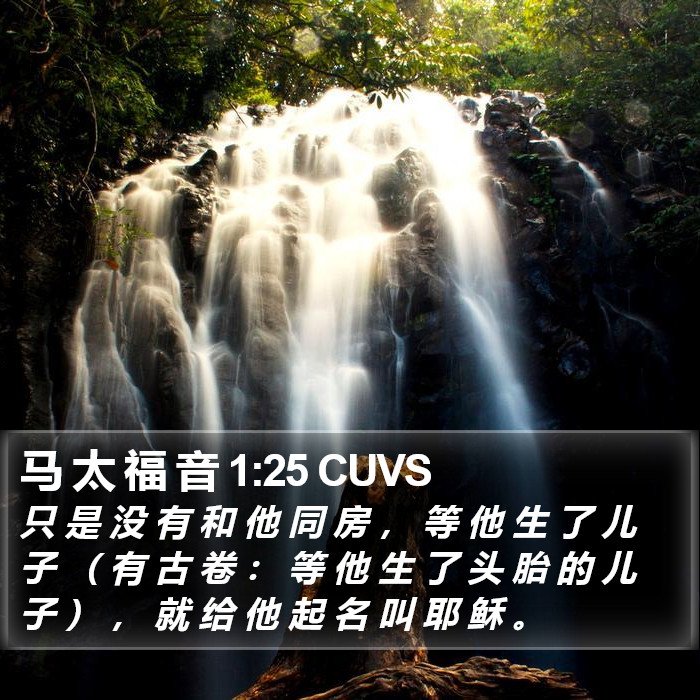 马 太 福 音 1:25 CUVS Bible Study