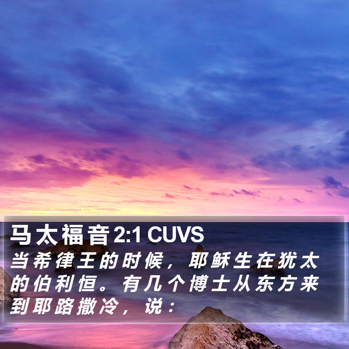 马 太 福 音 2:1 CUVS Bible Study