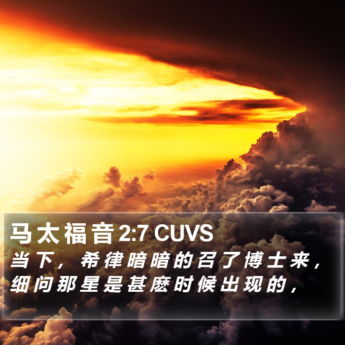 马 太 福 音 2:7 CUVS Bible Study