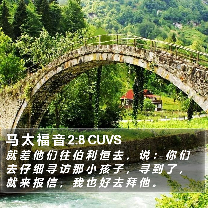 马 太 福 音 2:8 CUVS Bible Study