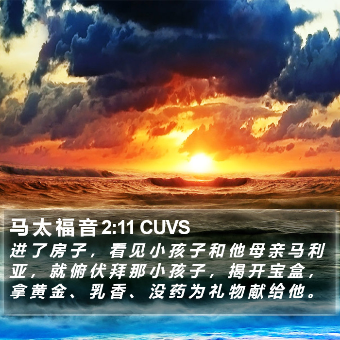 马 太 福 音 2:11 CUVS Bible Study