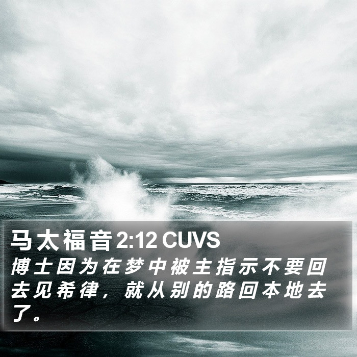 马 太 福 音 2:12 CUVS Bible Study