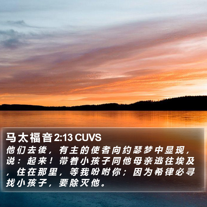 马 太 福 音 2:13 CUVS Bible Study