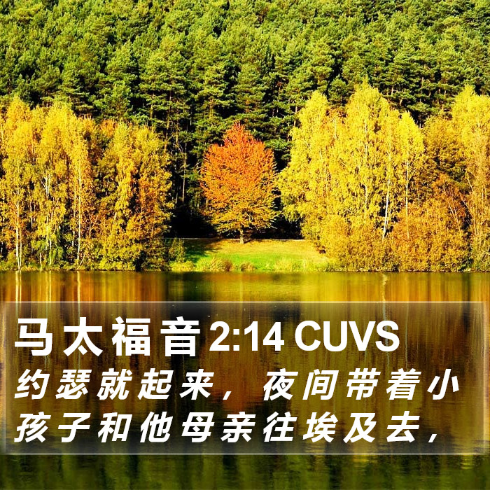 马 太 福 音 2:14 CUVS Bible Study