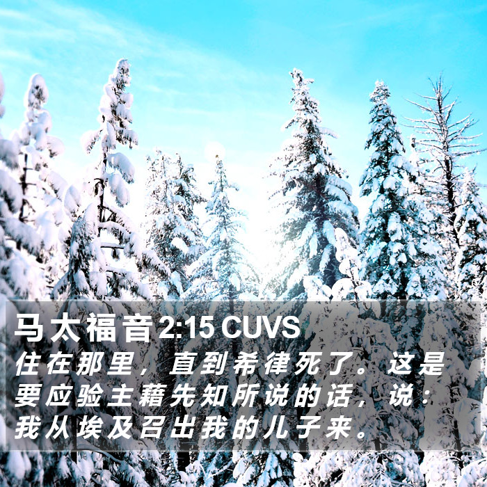 马 太 福 音 2:15 CUVS Bible Study