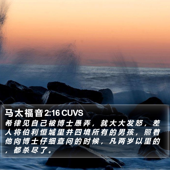 马 太 福 音 2:16 CUVS Bible Study