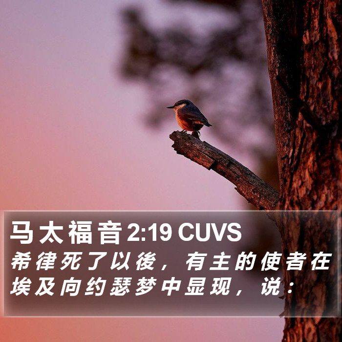 马 太 福 音 2:19 CUVS Bible Study