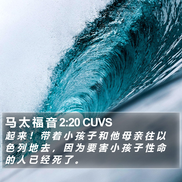 马 太 福 音 2:20 CUVS Bible Study