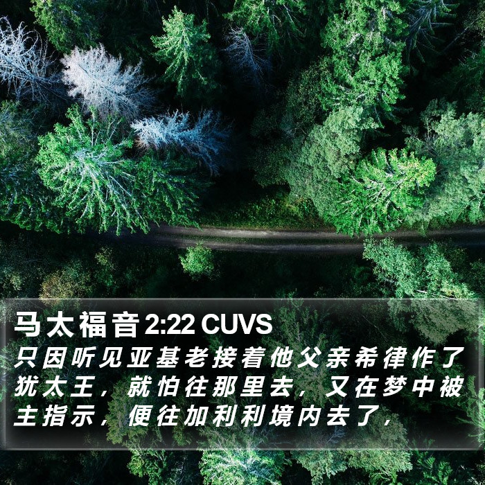 马 太 福 音 2:22 CUVS Bible Study