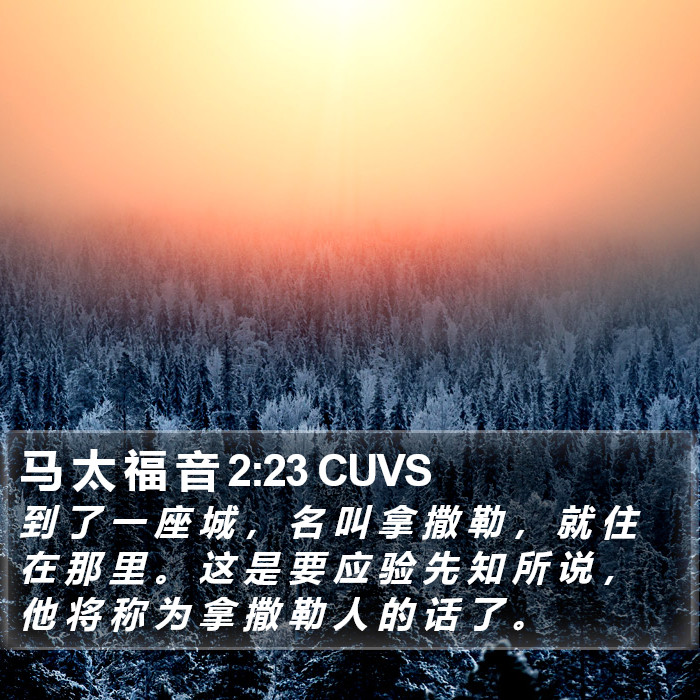 马 太 福 音 2:23 CUVS Bible Study