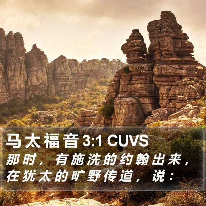 马 太 福 音 3:1 CUVS Bible Study