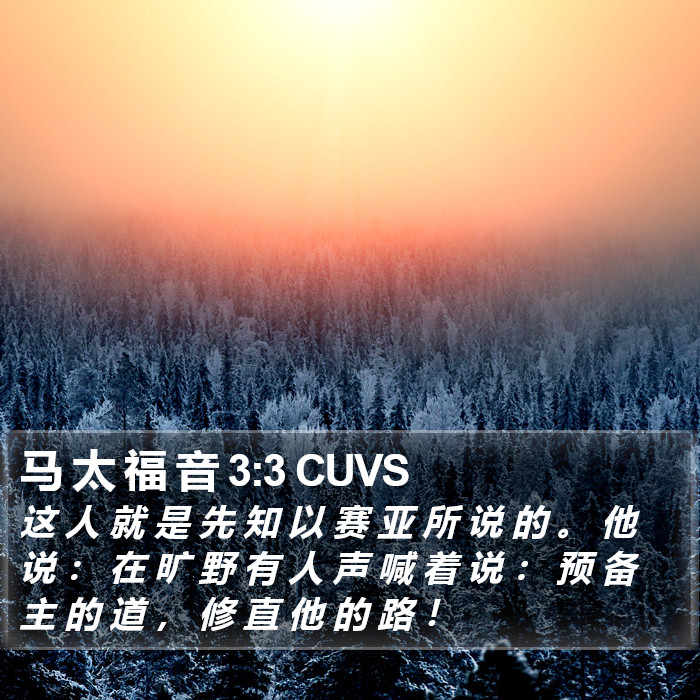 马 太 福 音 3:3 CUVS Bible Study