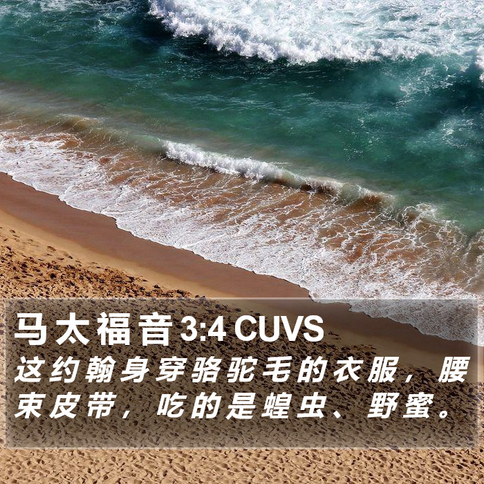 马 太 福 音 3:4 CUVS Bible Study