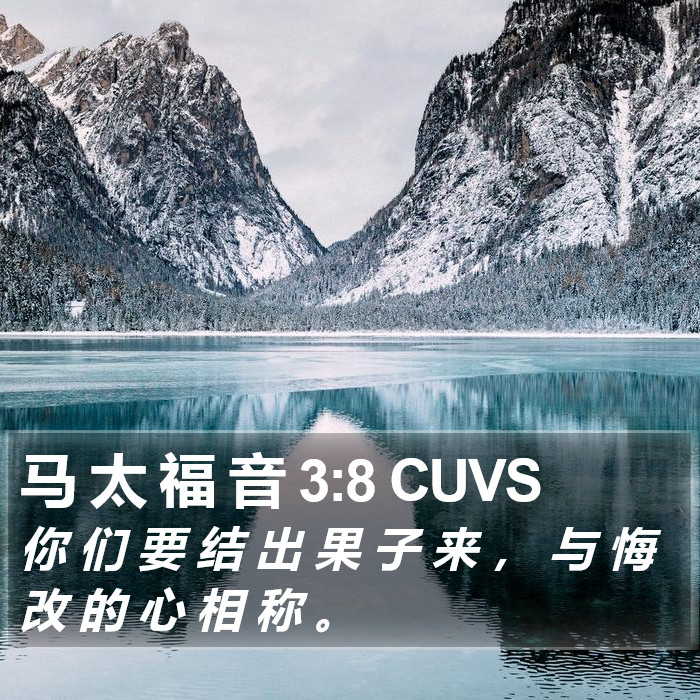 马 太 福 音 3:8 CUVS Bible Study