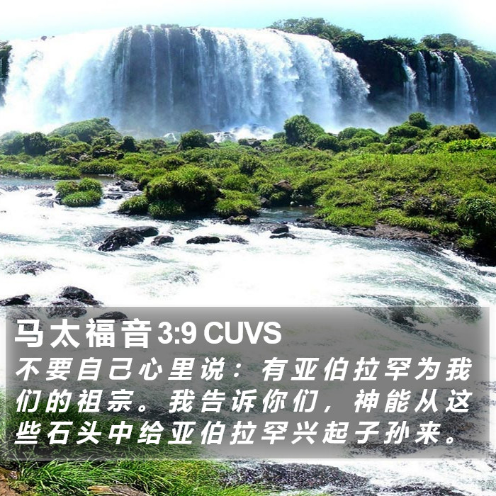 马 太 福 音 3:9 CUVS Bible Study